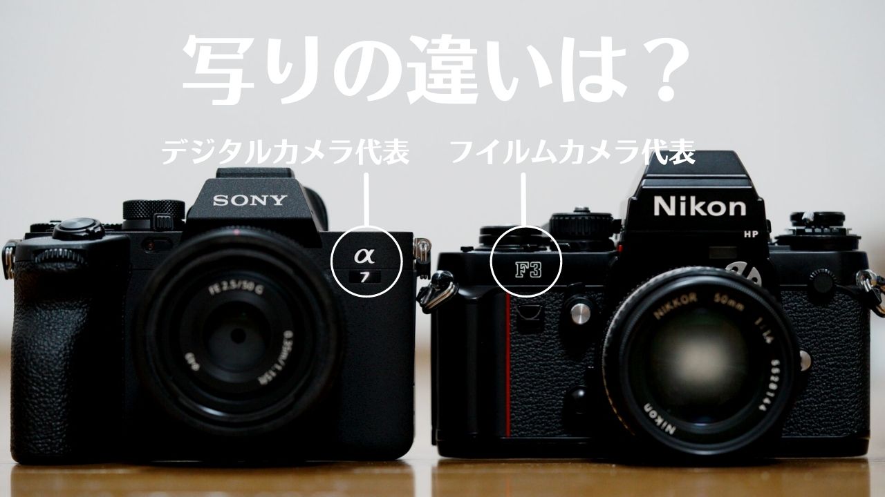 デジタルカメラとフイルムカメラの写りの違いとは？【実画で比較