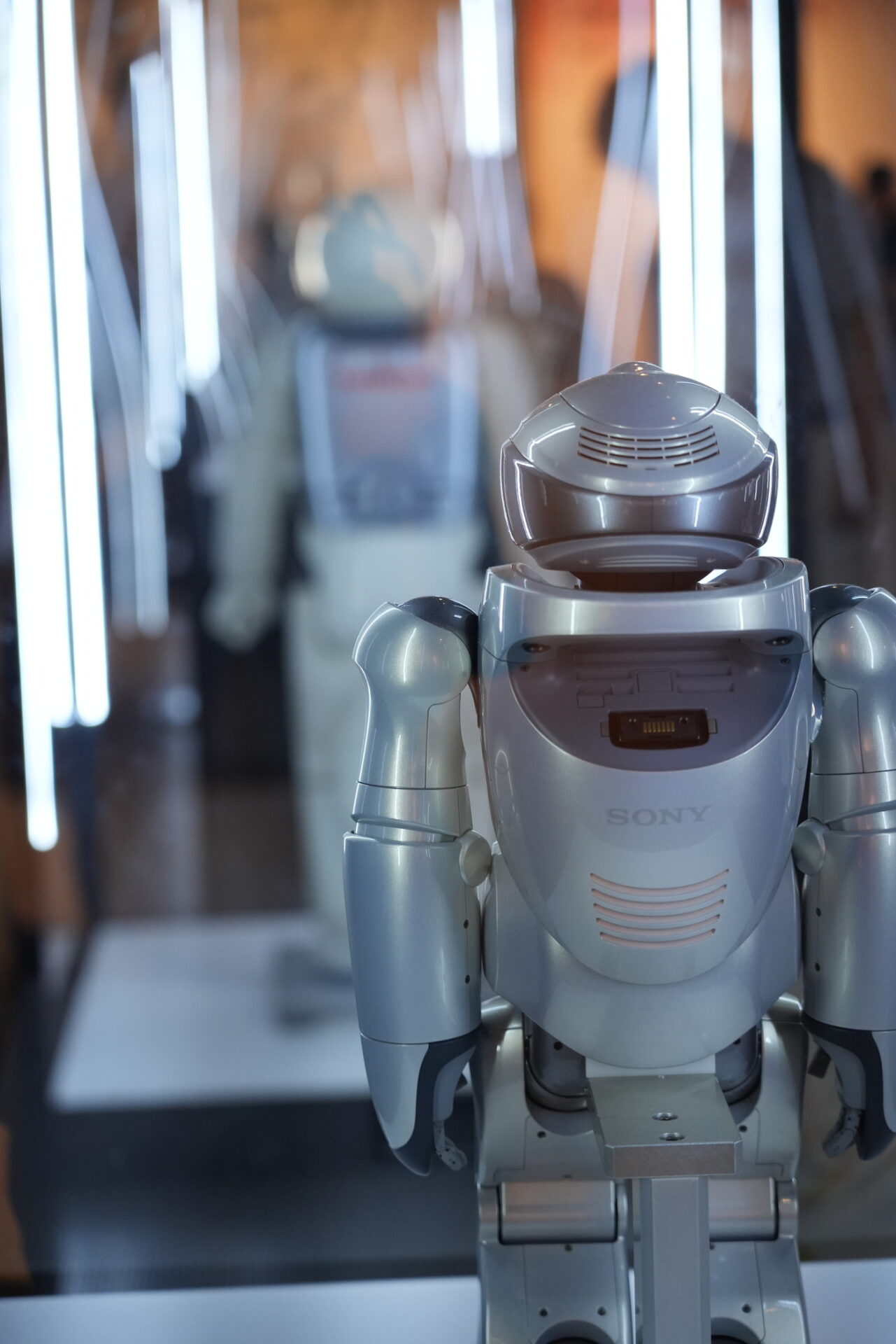 きみとロボット展で撮影したQRIOの後ろ姿の写真
