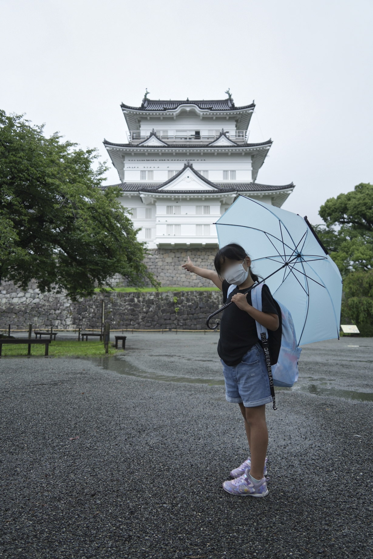 曇りの日に便利ズームレンズで撮影した小田原城