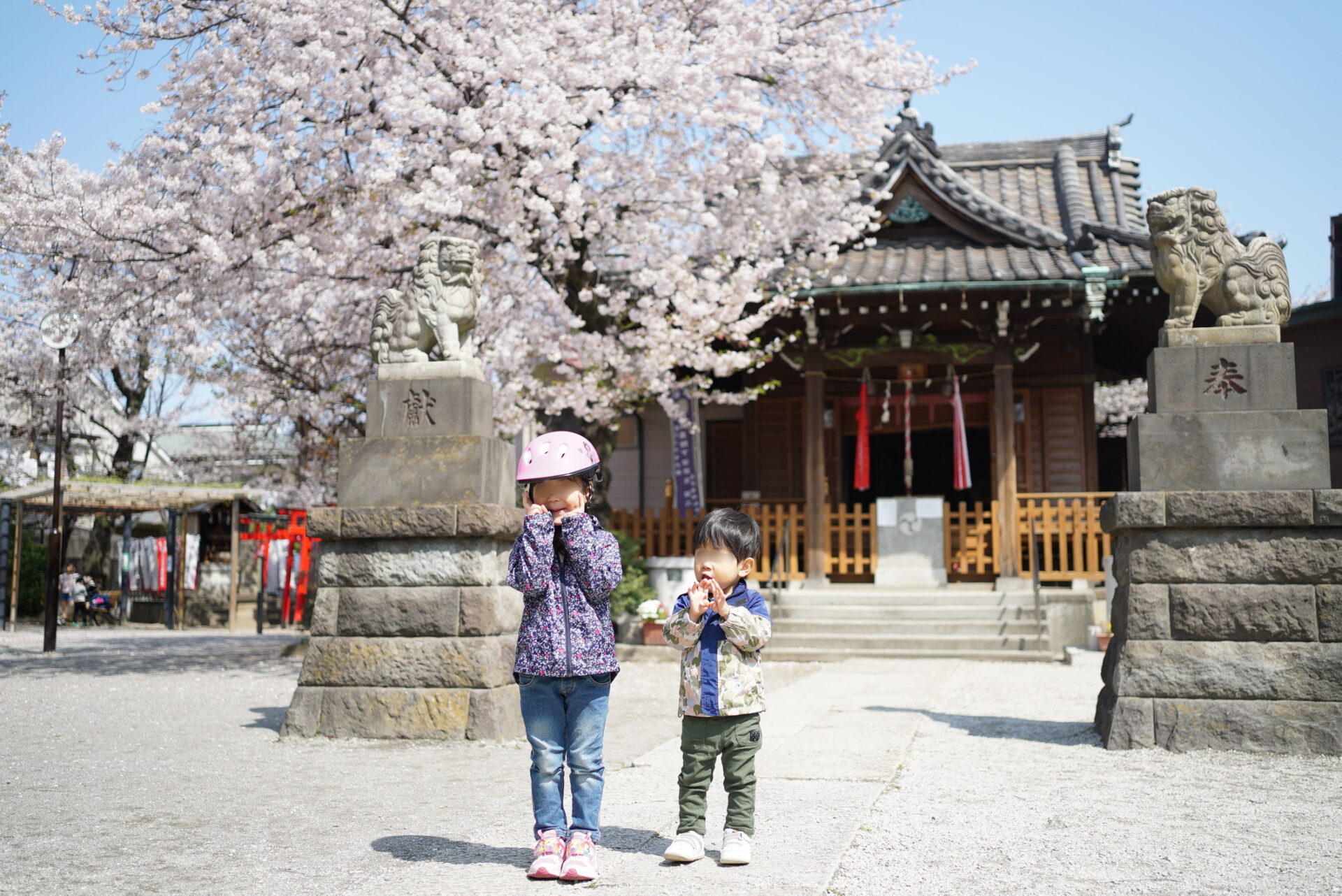 桜と子供の撮影で機嫌よくポーズしている写真