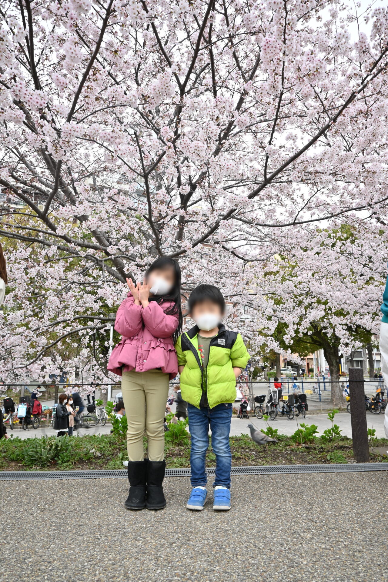 桜と子供の撮影で桜の近くに立ってありきたりな感じになった写真